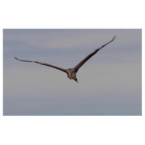 PHOTO84, CLUB, 84 , LUBERON